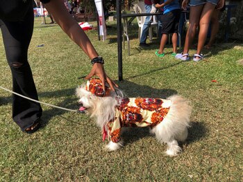Al festival acudieron cientos de