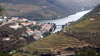 La “Toscana portuguesa” que está a dos horas de España: un paisaje Patrimonio de la Humanidad y la región vitivinícola más antigua del mundo