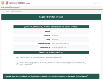 Permiso de circulación sin placas