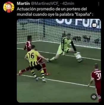 Meme sobre los porteros contra España. (X)