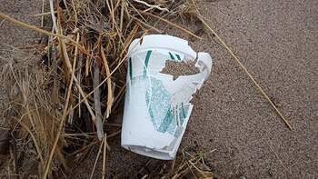 Este material además de ser