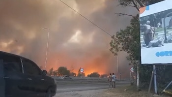 Un incendio forestal causó el