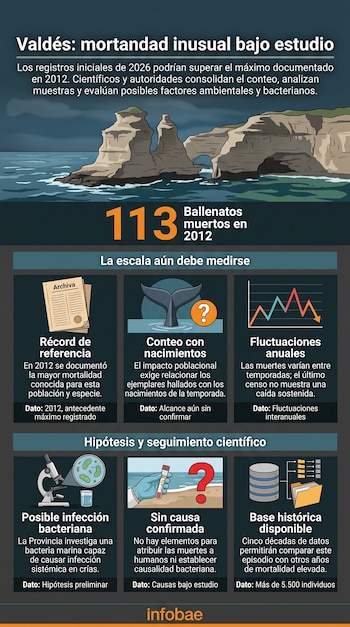 Infografía con una ilustración de acantilados sobre el mar, iconos de una cola de ballena, un microscopio, gráficos y seis bloques de texto.