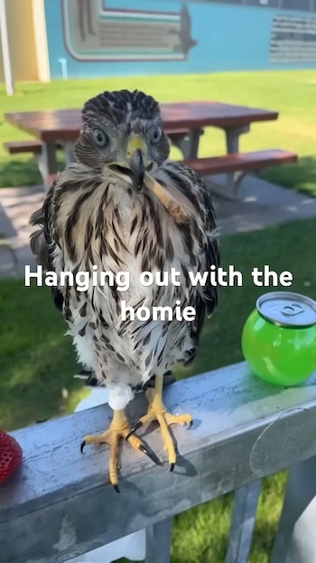 El acusado recibió una condena