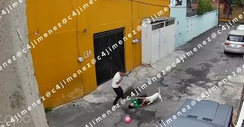 El niño fue atacado por un perro mientras jugaba en calles de la colonia San Miguel, en Iztapalapa. (Impresión de pantalla video)