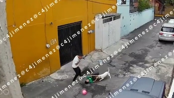 “Me voy a morir”: perro ataca a niño que jugaba en calles de Iztapalapa y queda registrado en video