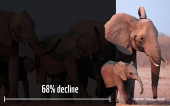 10/09/2020 Las poblaciones mundiales de