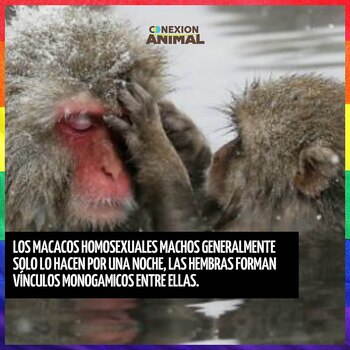 El posteo por el Día