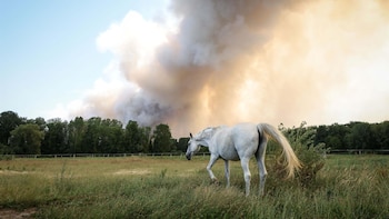Los incendios en el sur de Francia calcinan más de 12.000 hectáreas y obligan a evacuar a 44.000 personas