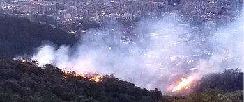 Bomberos controlan conato de incendio