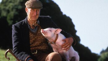 James Cromwell y Babe, la