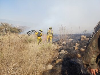 Personal del cuerpo de bomberos,