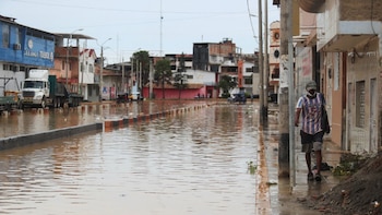 Leptospirosis: la enfermedad que puede