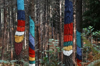 Dibujos pintados en árboles en