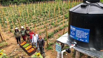 Instalan 21 sistemas de riego por goteo y diversifican cultivos en el oriente de El Salvador