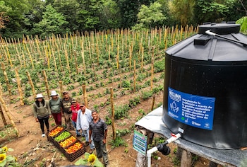 La FAO instala sistemas de riego por goteo en Usulután Norte para mejorar la seguridad alimentaria y la resiliencia agrícola en El Salvador./(FAO El Salvador)