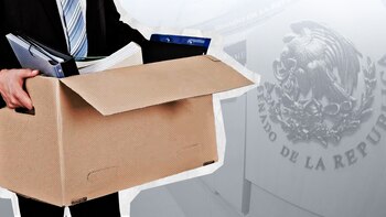 Despidos en el Senado: qué