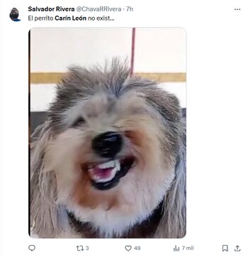 Memes Carin León foto: X