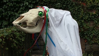 La Mari Lwyd, el caballo