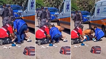 Córdoba: un pitbull atacó a una jubilada, la dejó en grave estado y los vecinos apuñalaron al animal para frenarlo
