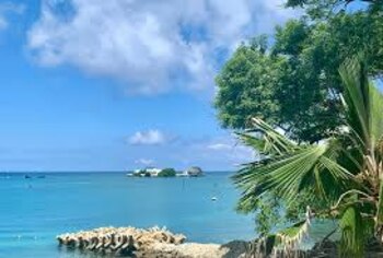 Violencia en Isla Fuerte: 3