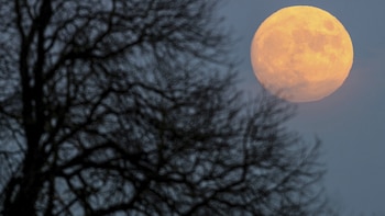 PPL014 SIEVERSDORF (ALEMANIA) 25/12/2015.- La luna casi en su fase llena ilumina el cielo de Sieversdorf (Alemania), la Nochebuena del 24 de diciembre de 2015. El día de Navidad coincidirá este año con la luna en fase llena por primera vez desde hace 38 años, acontecimiento que no volverá a producirse hasta el año 2034. EFE/Partick Pleul