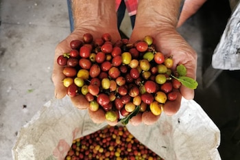 Además de las dificultades de