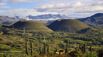 Los ciudadanos de las ocho provincias de Arequipa podrán acceder al ingreso gratuito presentando su DNI.