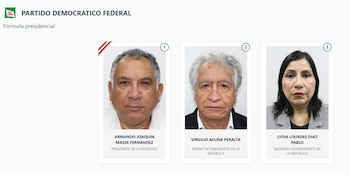 Lista de vicepresidentes en Perú 2026: estos son los acompañantes de cada candidato: Captura: ONPE.