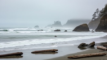 Restos óseos que aparecieron en