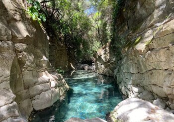 Sendero Acuático del Arroyo Bocaleones,