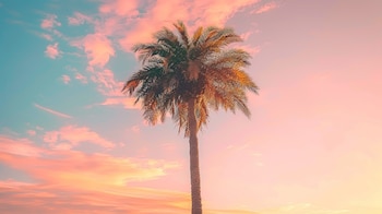 (Imagen Ilustrativa Infobae)