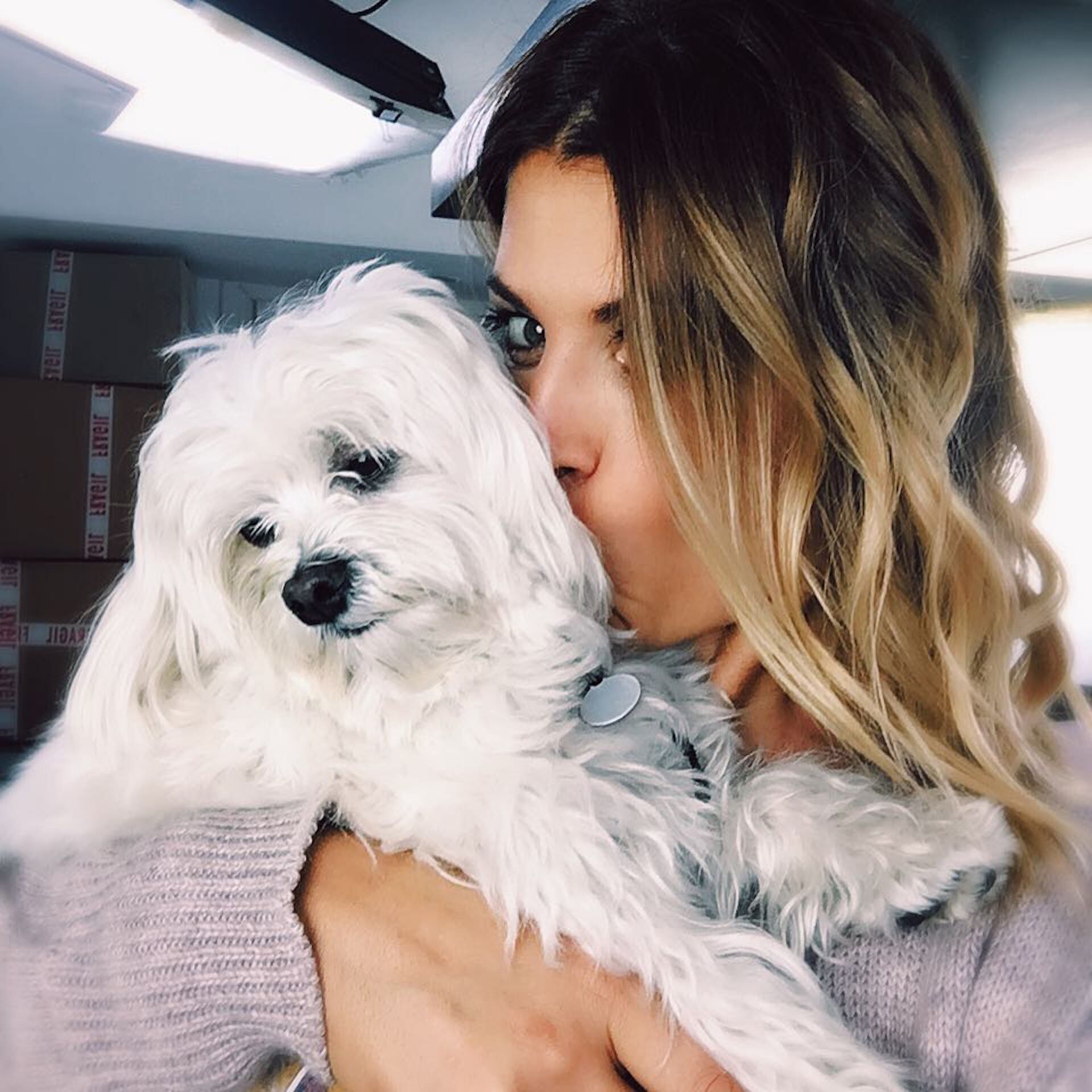 La actriz mostró cómo su mascota va recuperando la movilidad luego de su operación