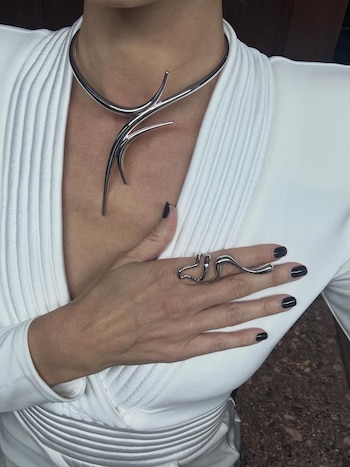 anita espasandín benjamín vicuña