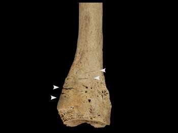 Marcas de corte en un