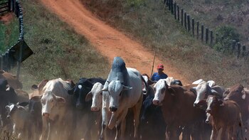 Paraguay inicia la vacunación contra