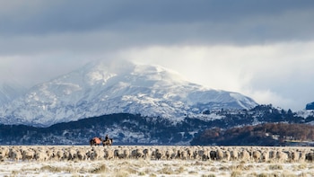 "Troperos", el documental
