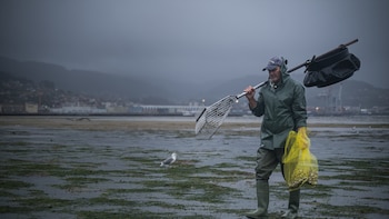 La normativa contra la pesca