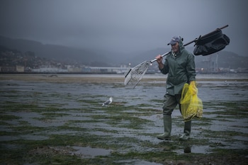 Las mariscadoras de la Cofradía