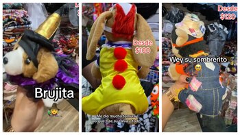 Disfraces perro cdmx (Captura de