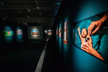 La muestra "Icons", que viene