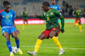 Los Leones Indomables buscan una