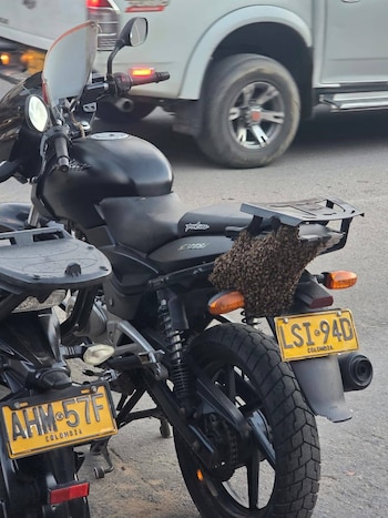 Según relató el afectado, dejó