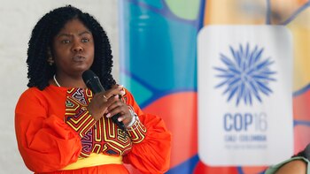 Reforzarán el esquema de protección