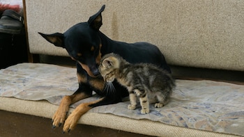 La UE acuerda la primera