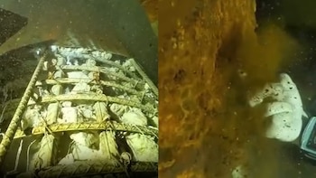 Colectivo exhibe daños en columnas