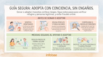 Infografía en tonos pastel con el título Guía segura, seis ilustraciones informativas sobre adopción de mascotas y el logotipo de Infobae.