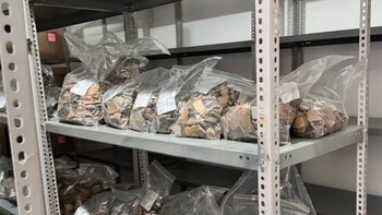 El avance del programa PRIAK