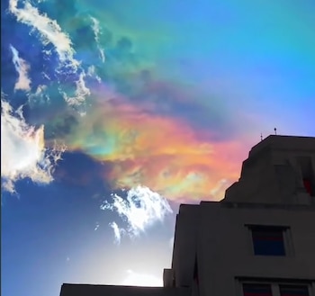 (Captura Tik Tok @joelee.mx)