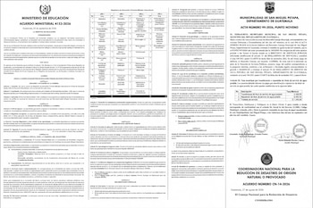 Páginas de documentos oficiales con textos normativos, una tabla curricular y firmas impresas con sellos institucionales de Guatemala.